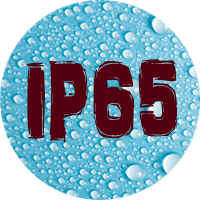 IP 65